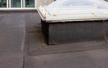 disadvantages of Poles flat roofs